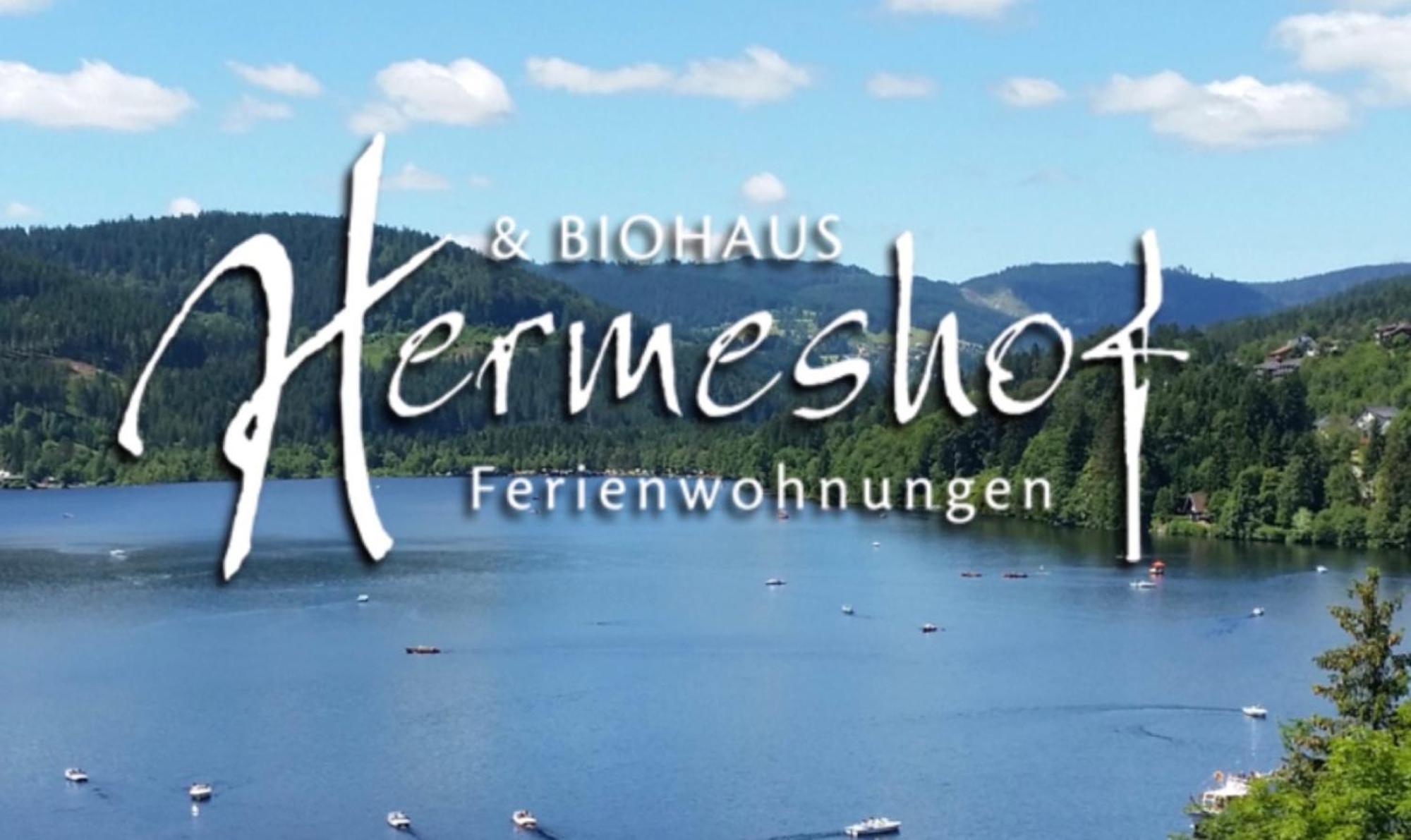 Hermeshof Und Biohaus Titisee-Neustadt Luaran gambar