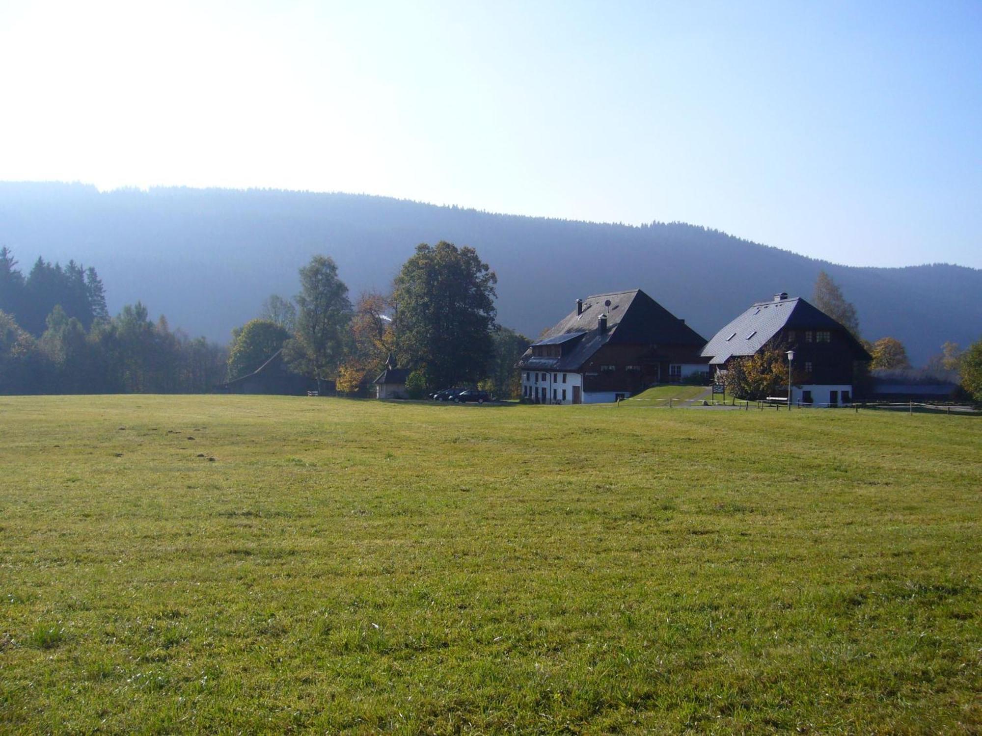 Hermeshof Und Biohaus Titisee-Neustadt Luaran gambar