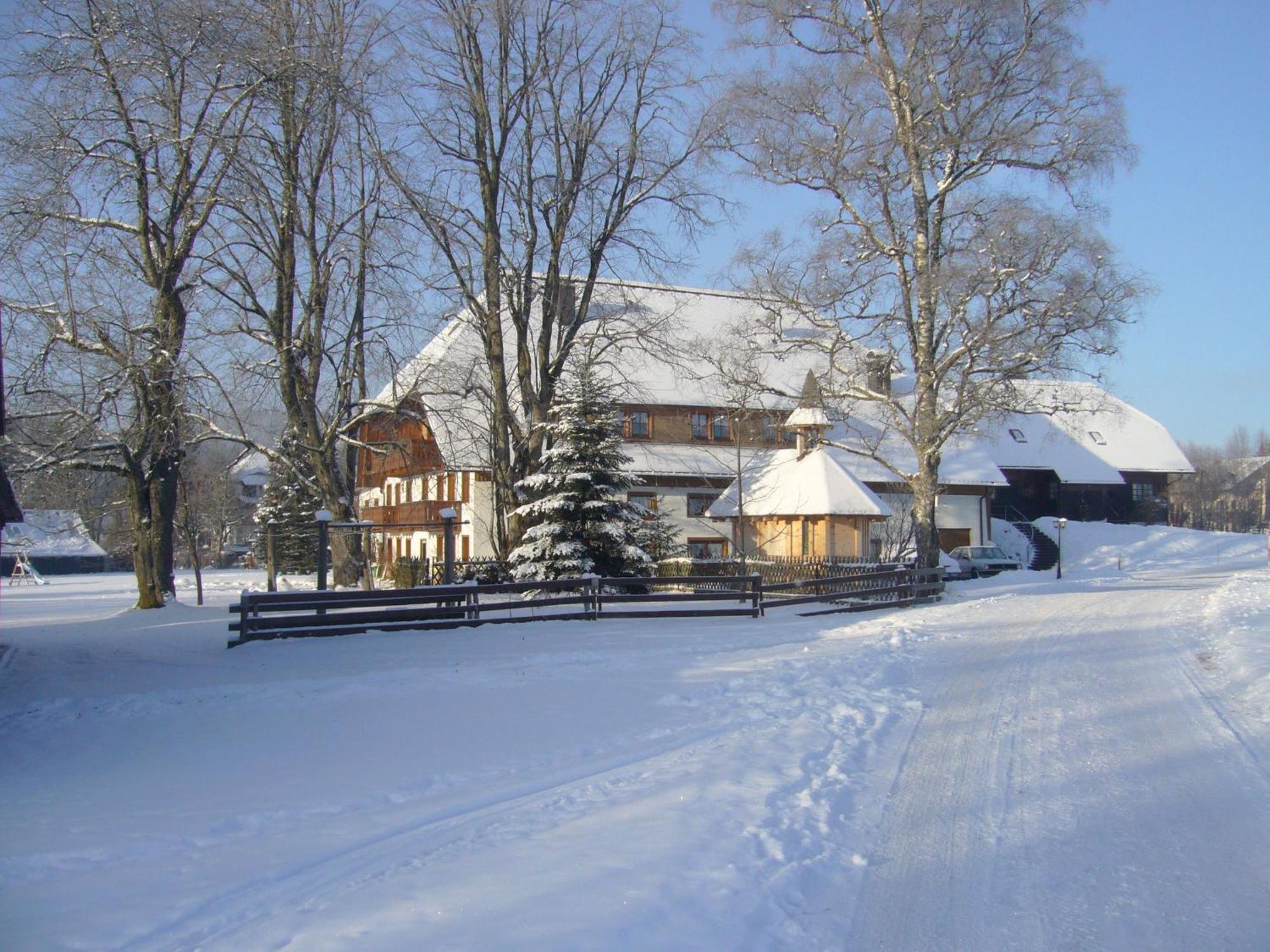 Hermeshof Und Biohaus Titisee-Neustadt Luaran gambar